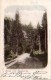 NÖ: Gruß vom Semmering 1900 Adlitzgraben